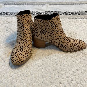 Maurices leopard boots